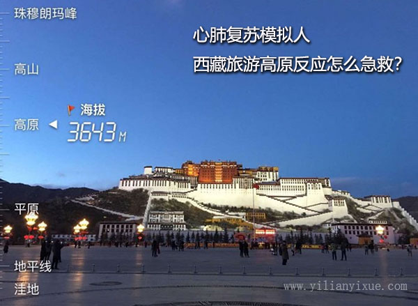 <a href='http://www.kidcomclub.com'>心肺復(fù)蘇模擬人</a>之去西藏旅游高原反應(yīng)怎么急救？
