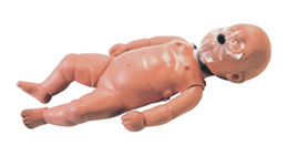 心肺復(fù)蘇(CPR)模型,乳兒